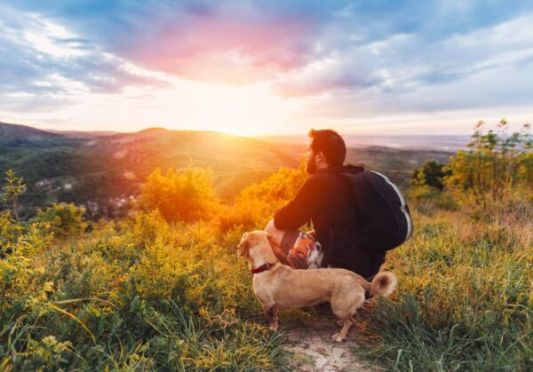 Lifestyle Influencer's Digital Content Kit